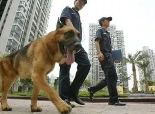 保安服务